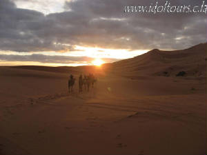 sunset over the sand dunes