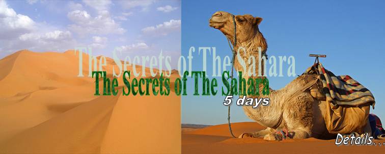 The Secrets of The Sahara